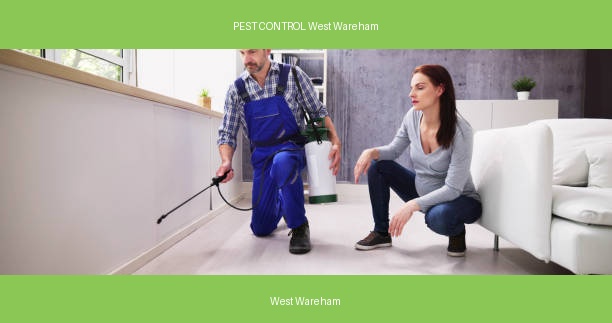 PEST CONTROL West Wareham